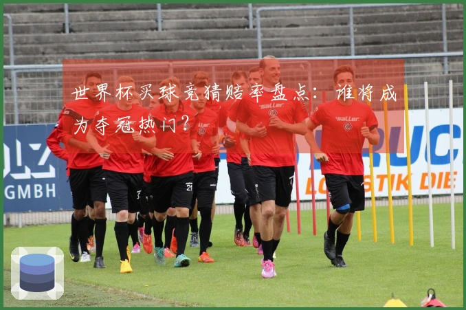 世界杯买球竞猜赔率盘点：谁将成为夺冠热门？