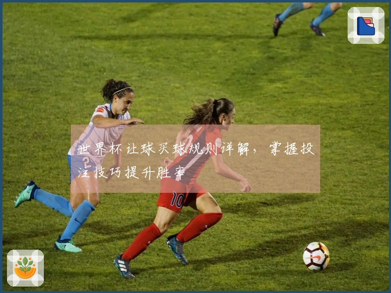 世界杯让球买球规则详解，掌握投注技巧提升胜率