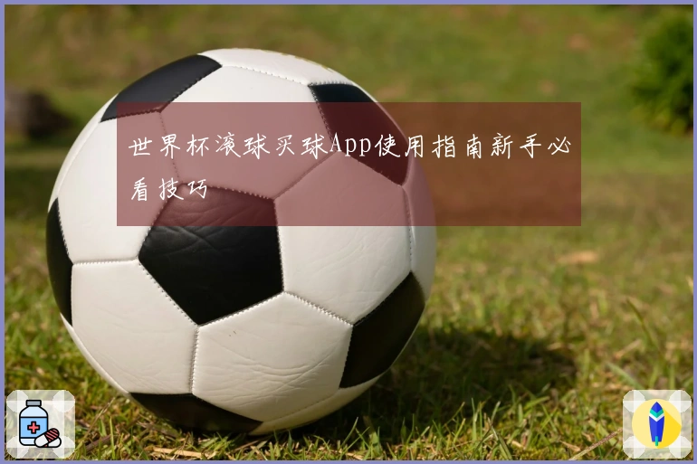 世界杯滚球买球App使用指南新手必看技巧