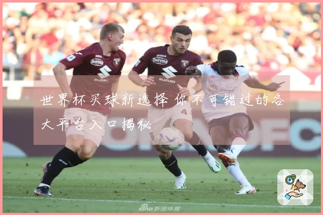 世界杯买球新选择 你不可错过的各大平台入口揭秘